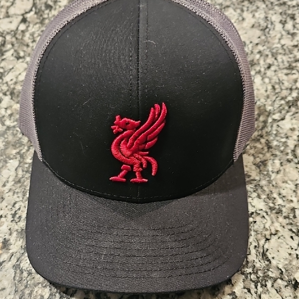 Black and Gray Cap with Red Logo